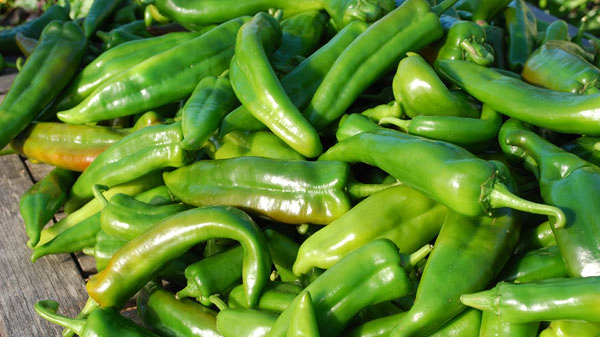 Hogyan termessz magadnak chili paprikát házilag?