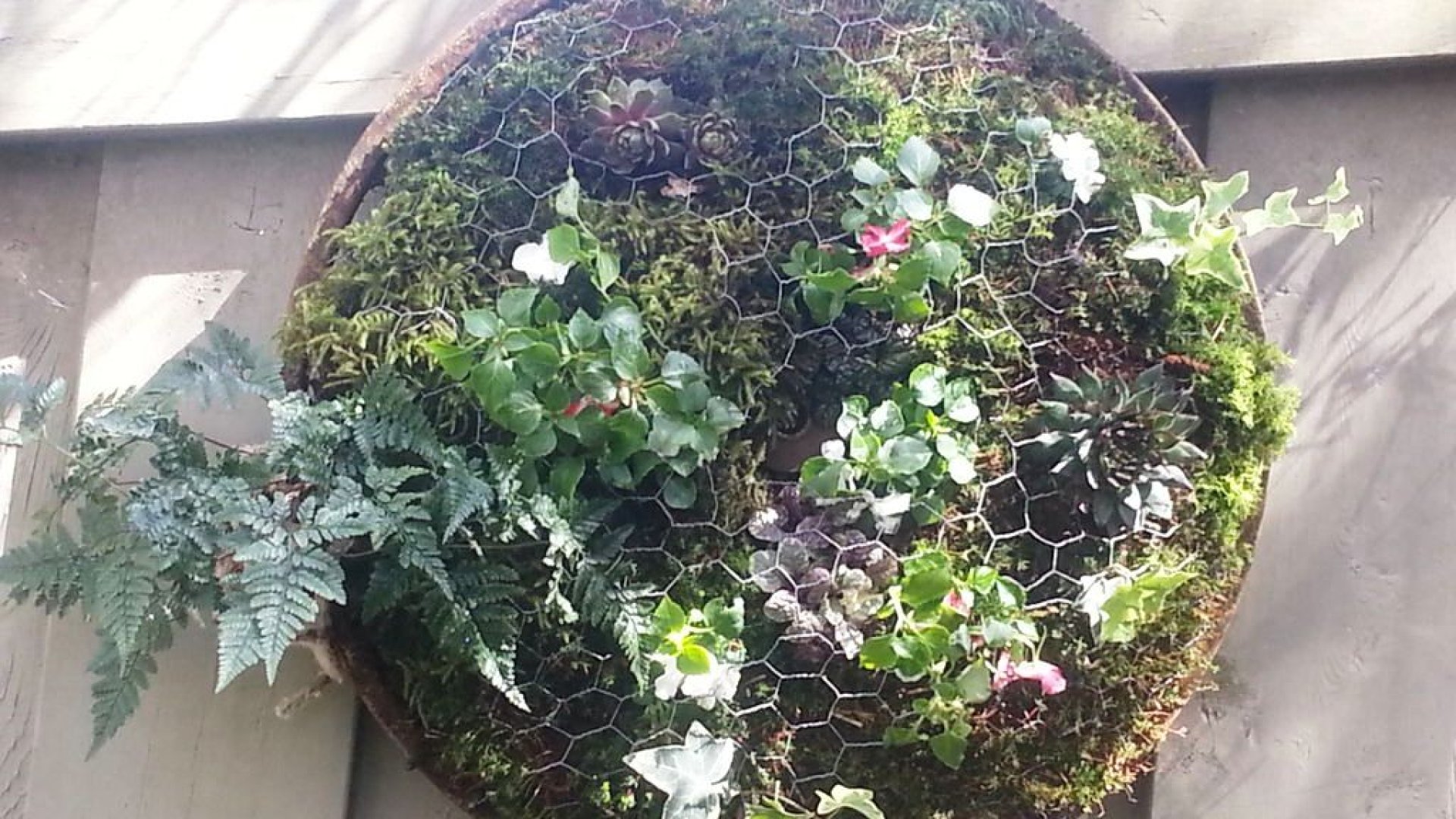 Így készíthetsz te is függő mohaágyás