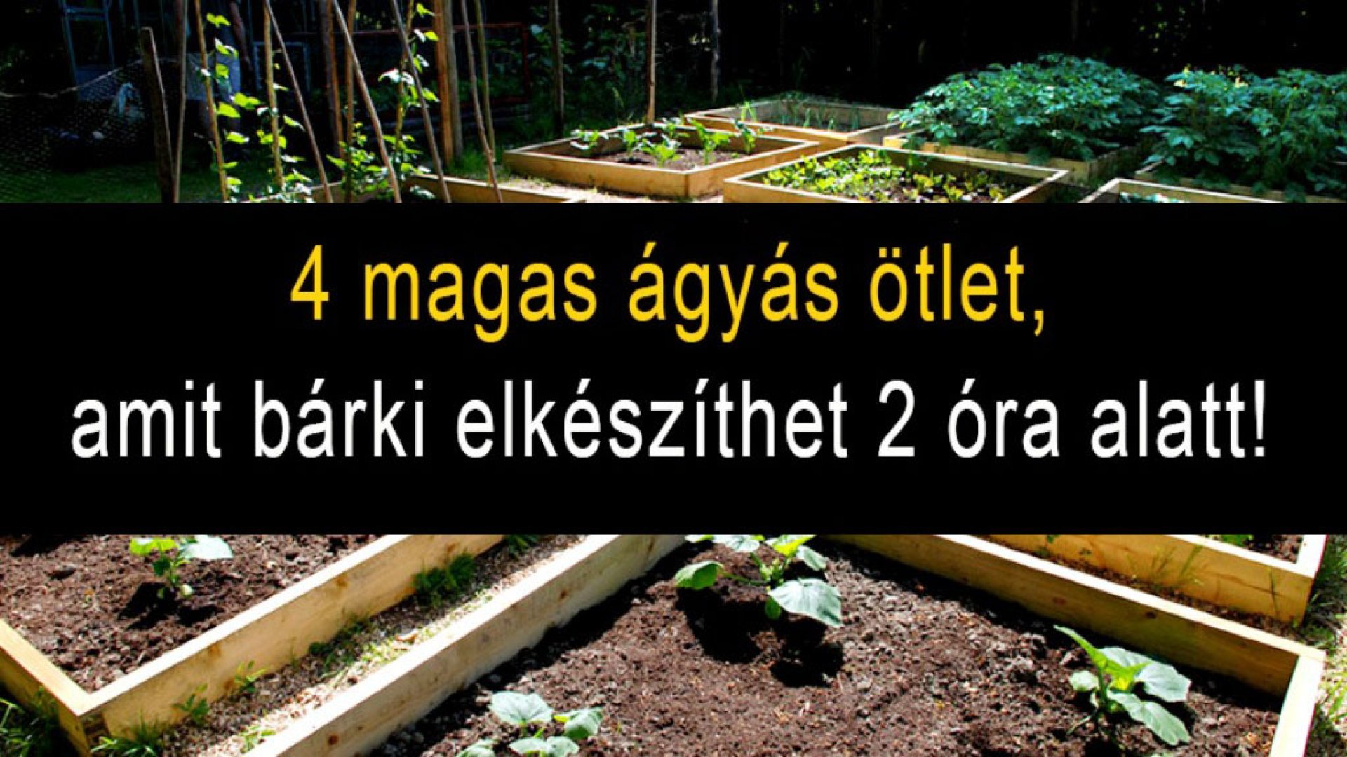 Emelt ágyások, amiket két óra alatt elkészíthetsz