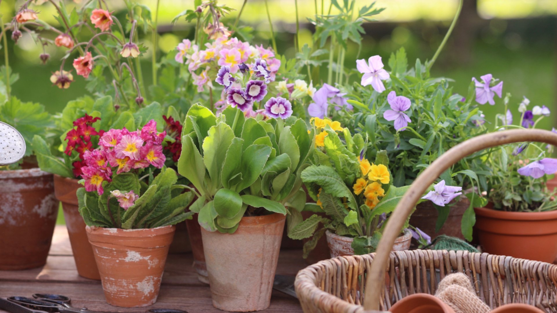 13 tipp, amik segítenek felkészíteni kertedet a tavaszra