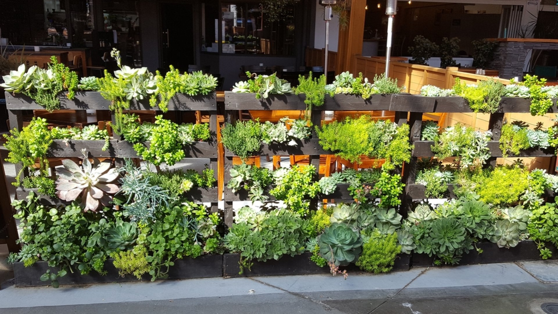 15 ok, amiért megéri növénytartókkal kertészkedni