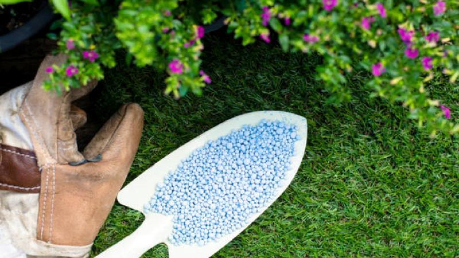 Szükség van a kertemben szuperfoszfátra?