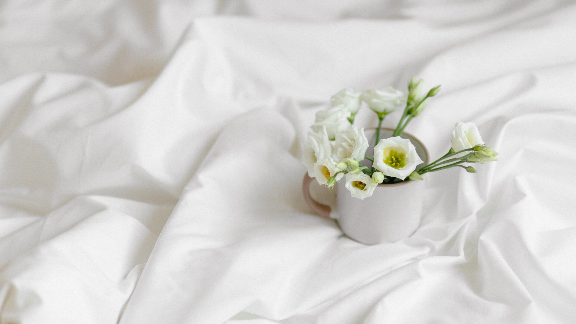 15 rossz szokás, amiktől kipusztulnak szobanövényeid