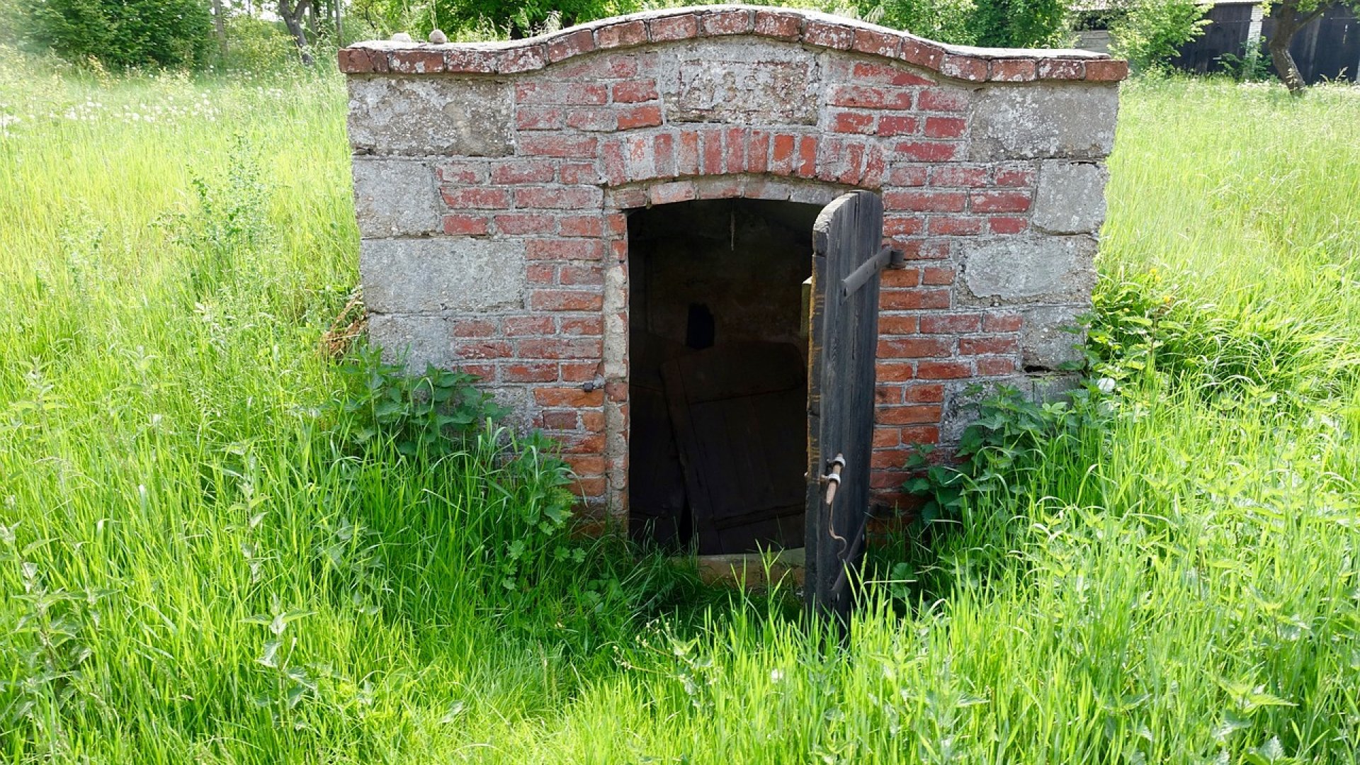 Minden, amit a kerti pincék építéséről tudnod kell