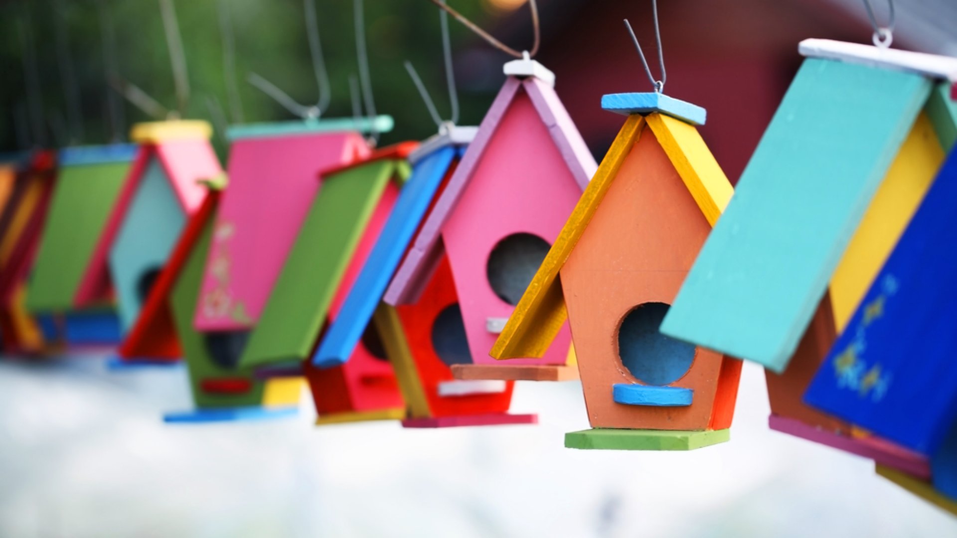 Madárházak télre – így biztosíts védelmet szárnyas vendégeidnek majd a hideg évszakban