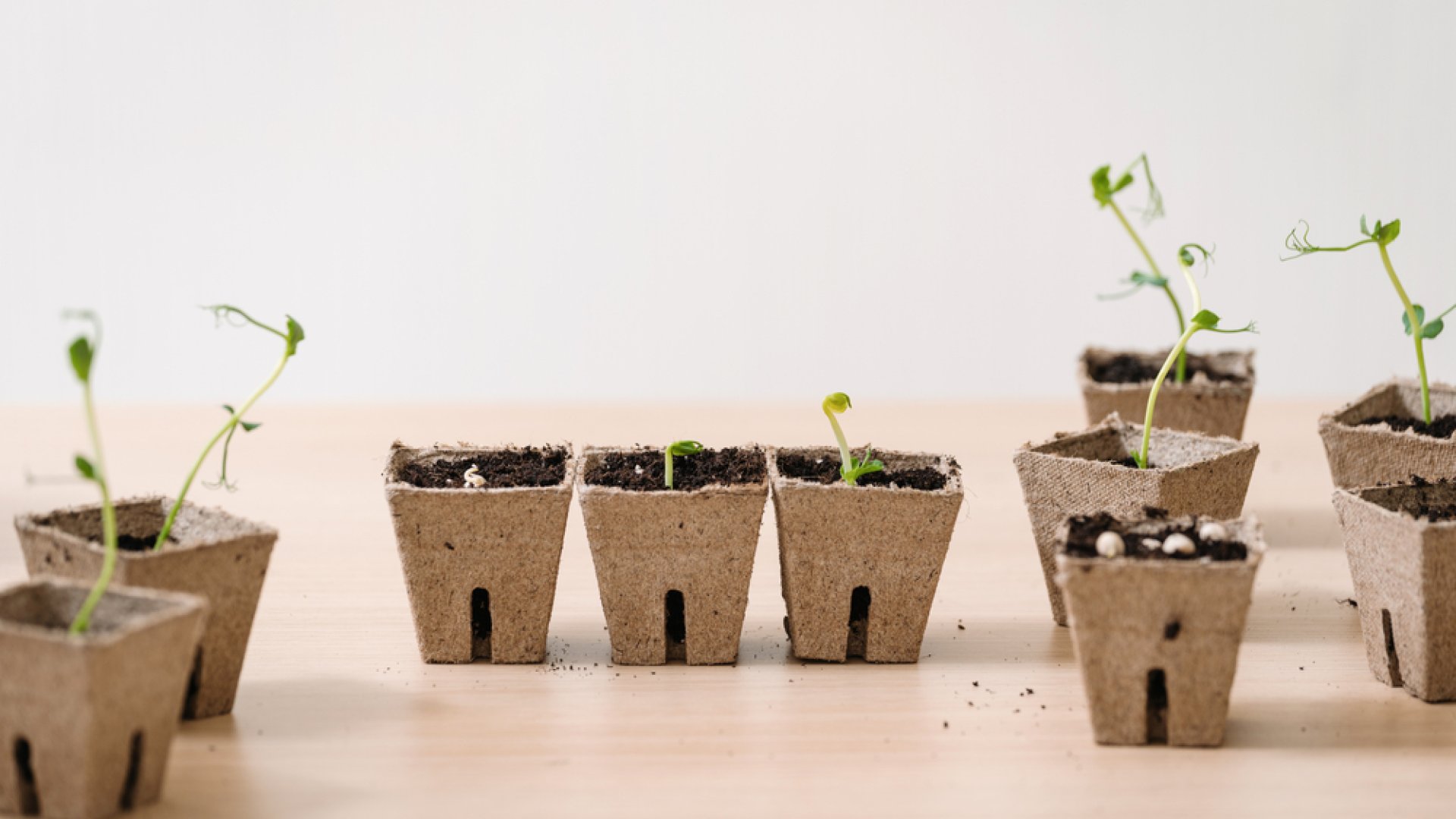 Hogyan készíts tőzegbetont