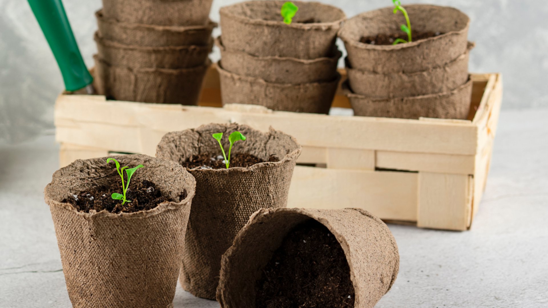 Növénytartó tőzegbetonból