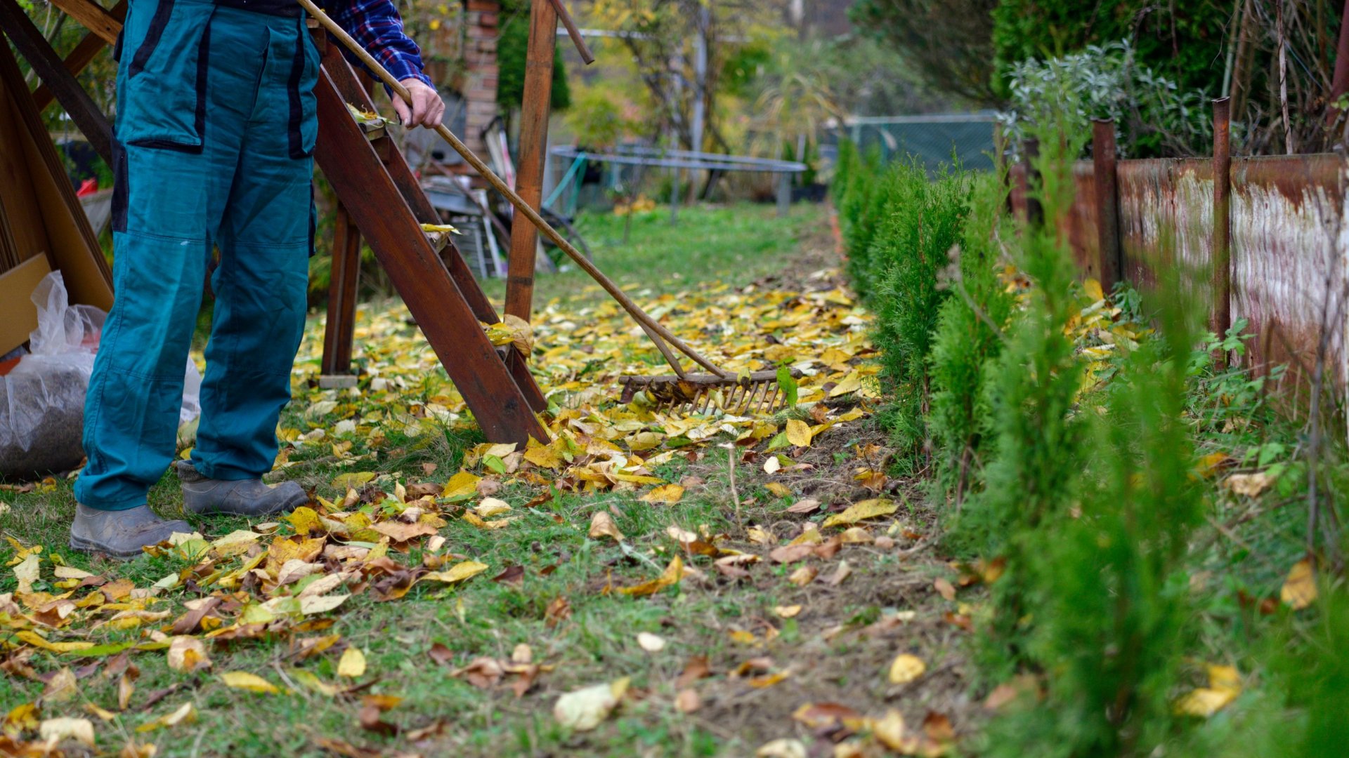 Kerti teendők a tél beállta előtt