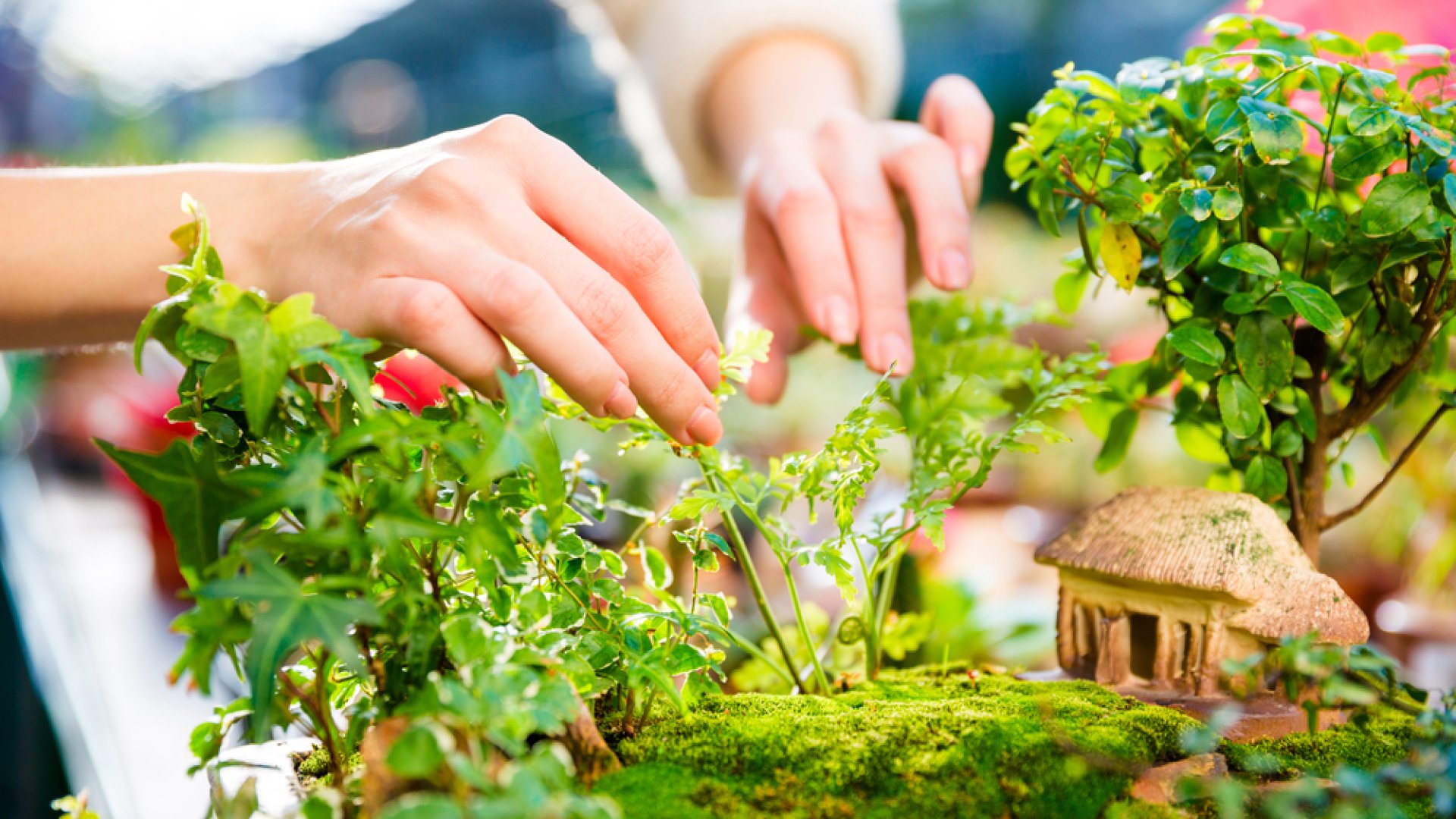 Így készíts magadnak miniatűr kertet helyszűkében