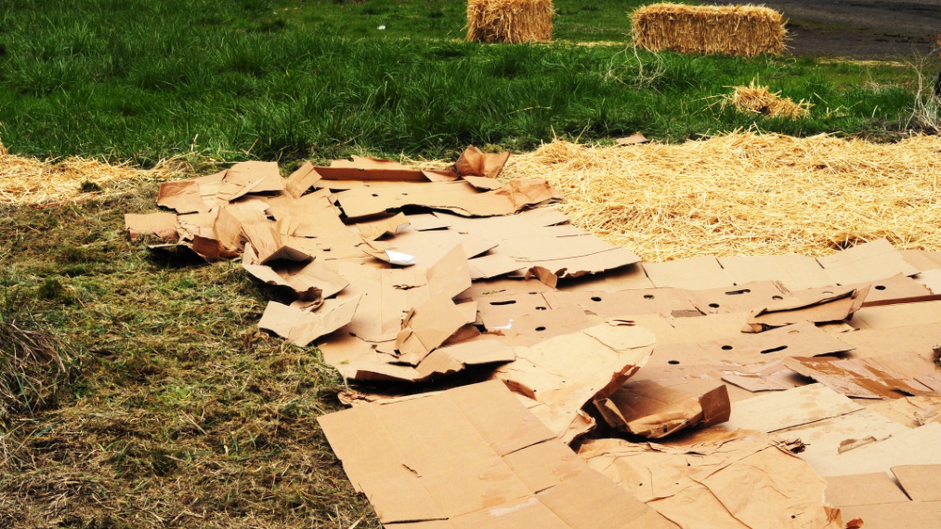 Sem szántani, sem felásni nem kell: így készül a lasagne kert