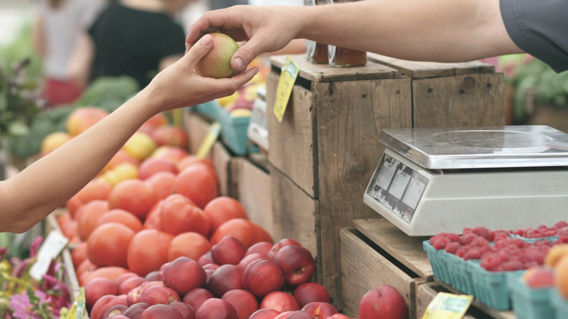 12 mérgező termék, amiket soha ne vásárolj kertészeti üzletekben 12 mérgező termék, amiket soha ne vásárolj kertészeti üzletekben