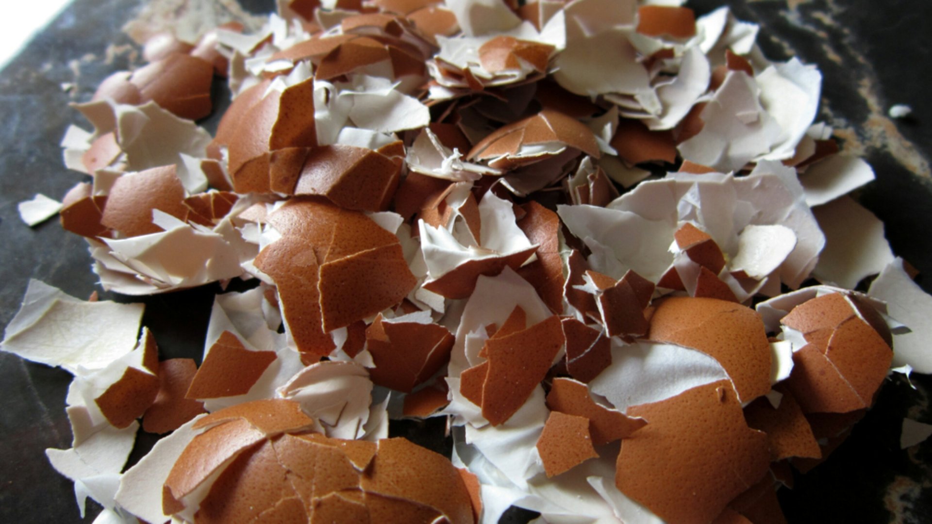 6 ok, amiért érdemes megtartani a kidobásra szánt tojáshéjat