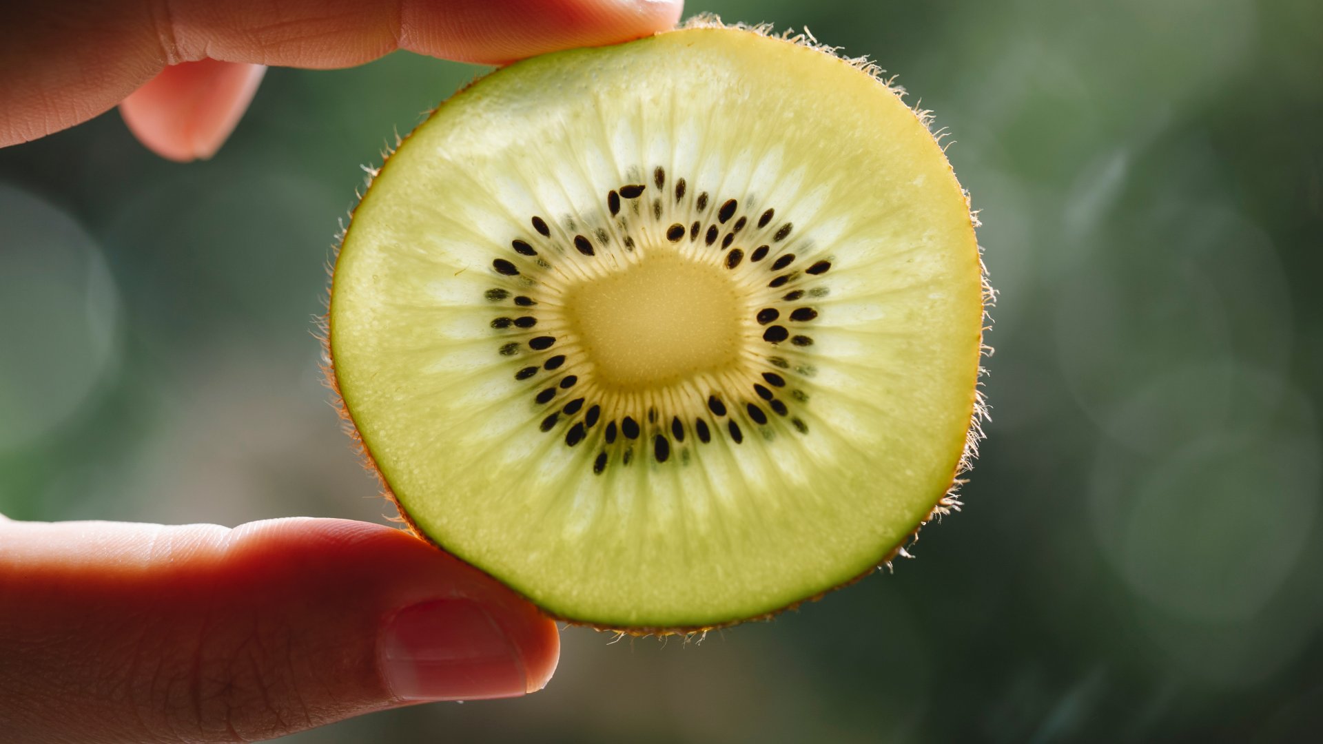 10 fantasztikus növény és egzotikus gyümölcs a trópusi hangulathoz