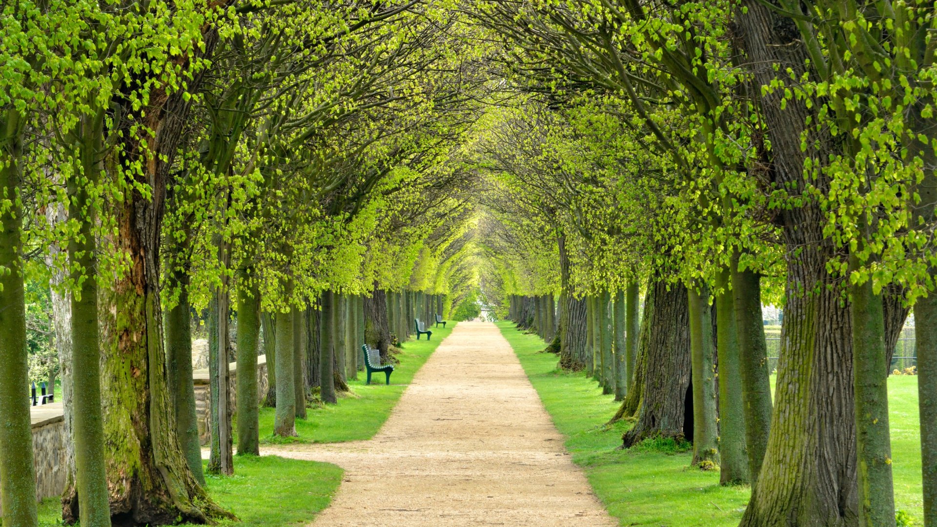 10 mesebeli fasor, a legvarázslatosabb sétákhoz 10 mesebeli fasor, a legvarázslatosabb sétákhoz