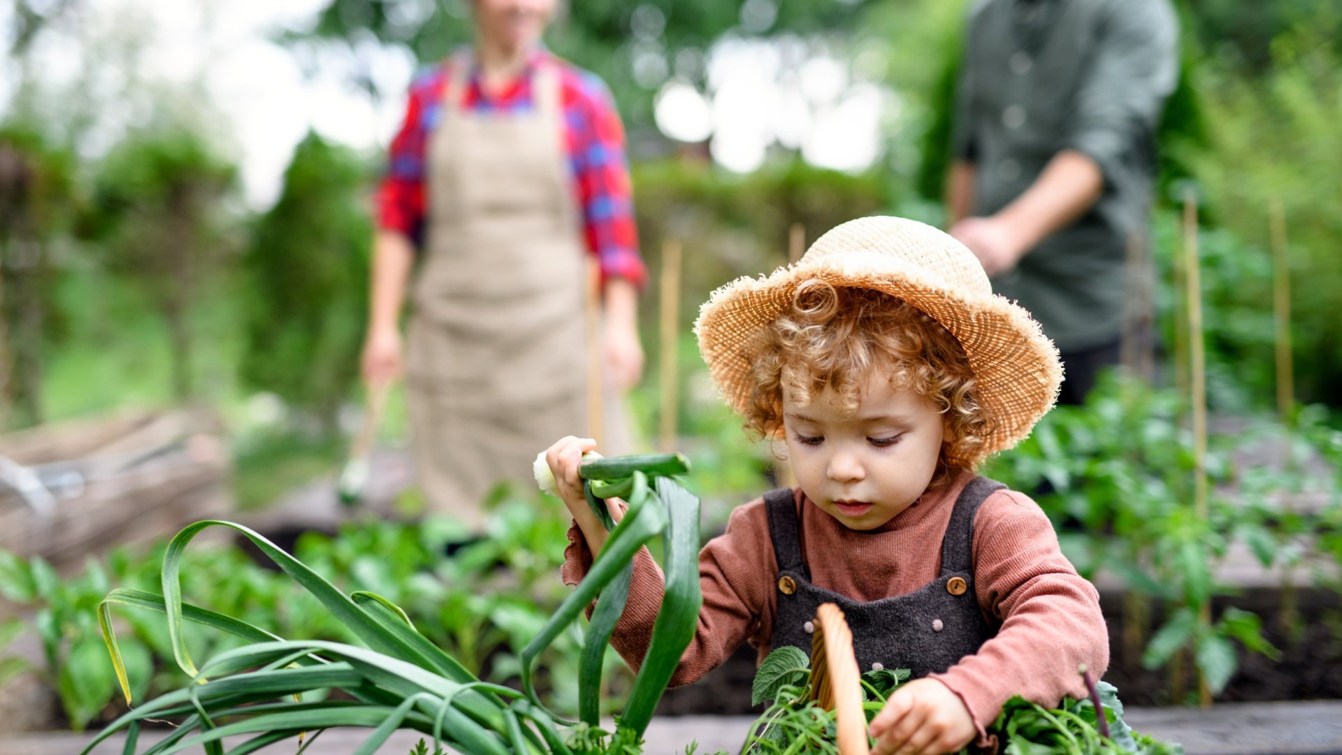 Így hozhatod ki a legtöbbet kisméretű kertedből – 20 profi tanács