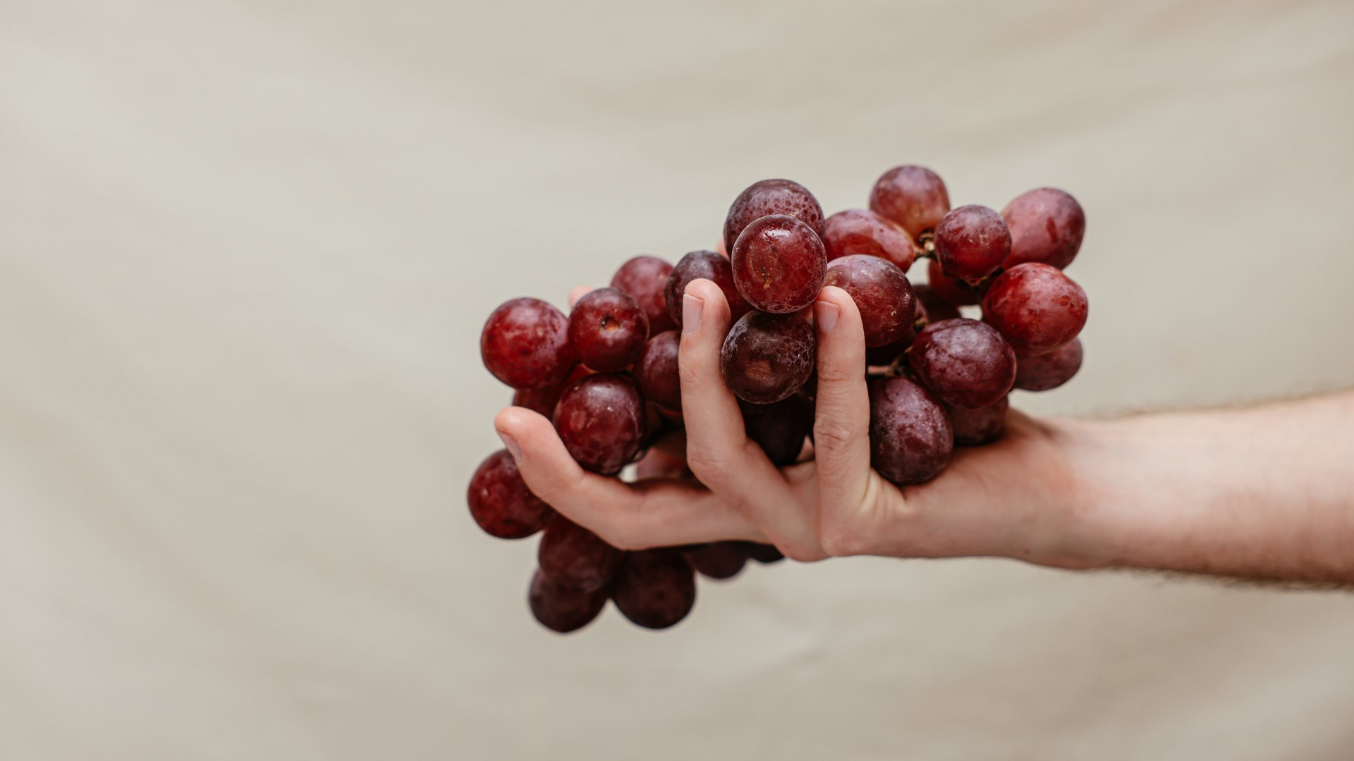 A szőlő gyógyhatásai A szőlő gyógyhatásai