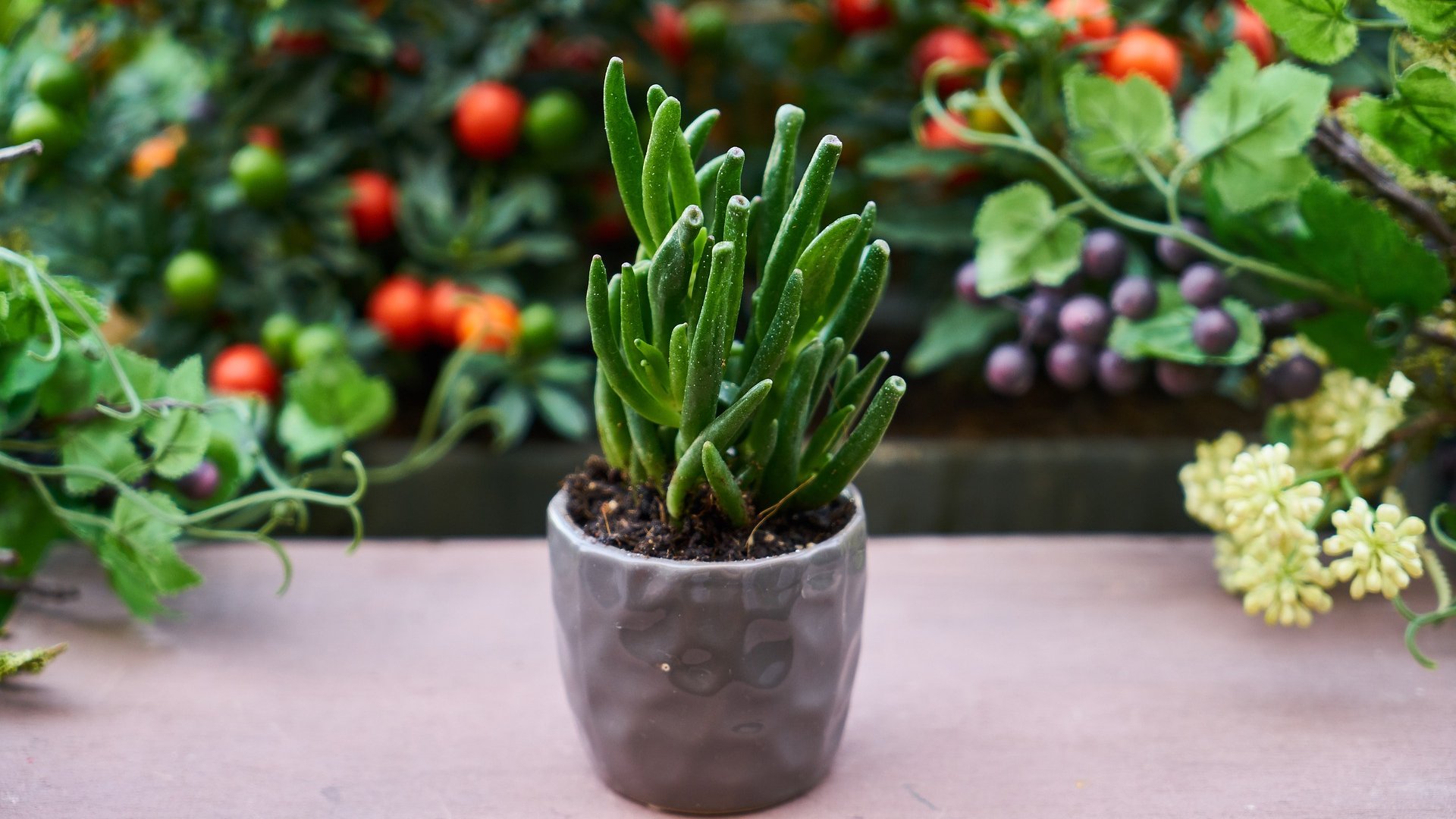 A legtökéletesebb virágcserép!