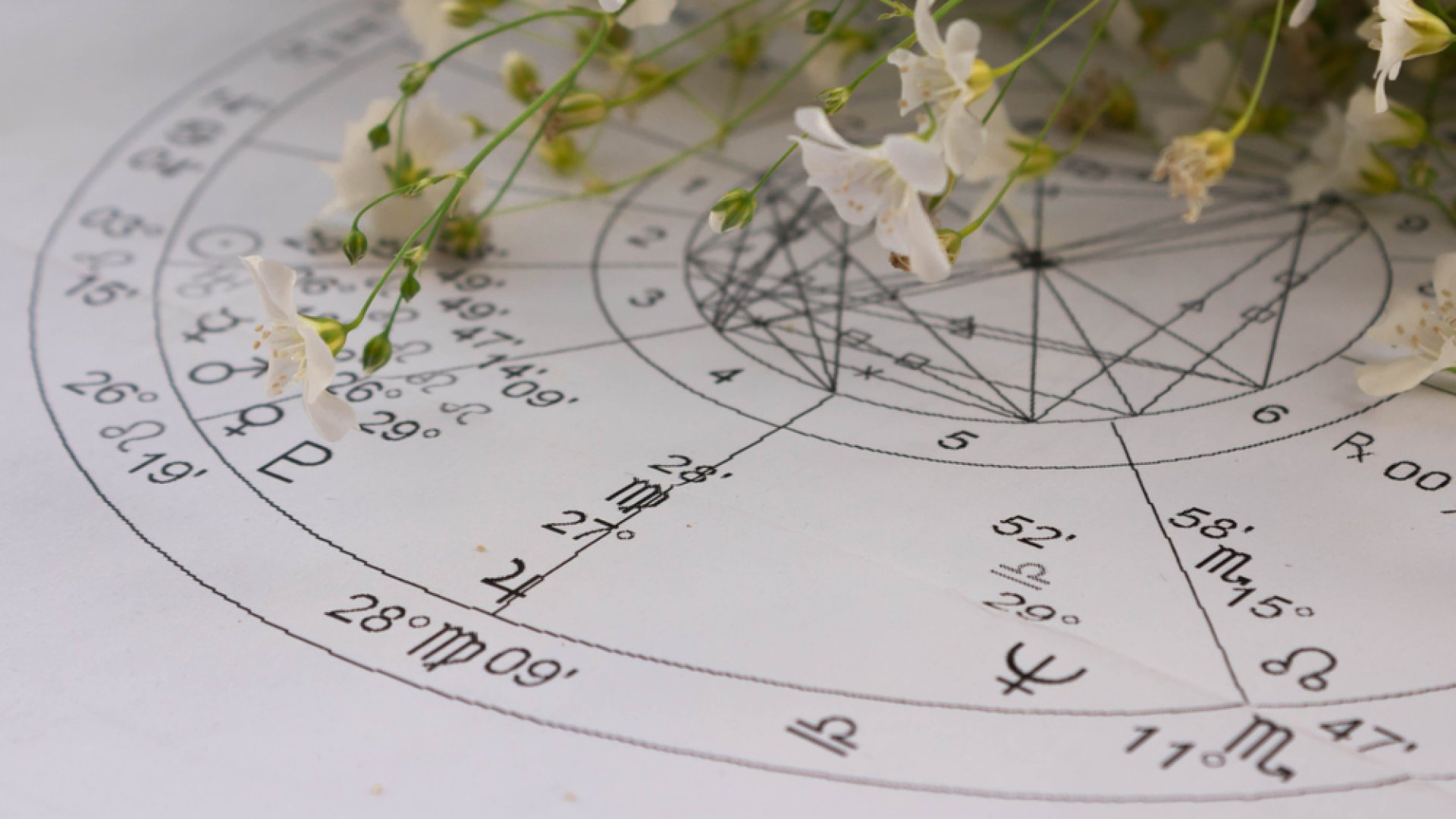 A virágok megmondják, milyen a személyiséged 