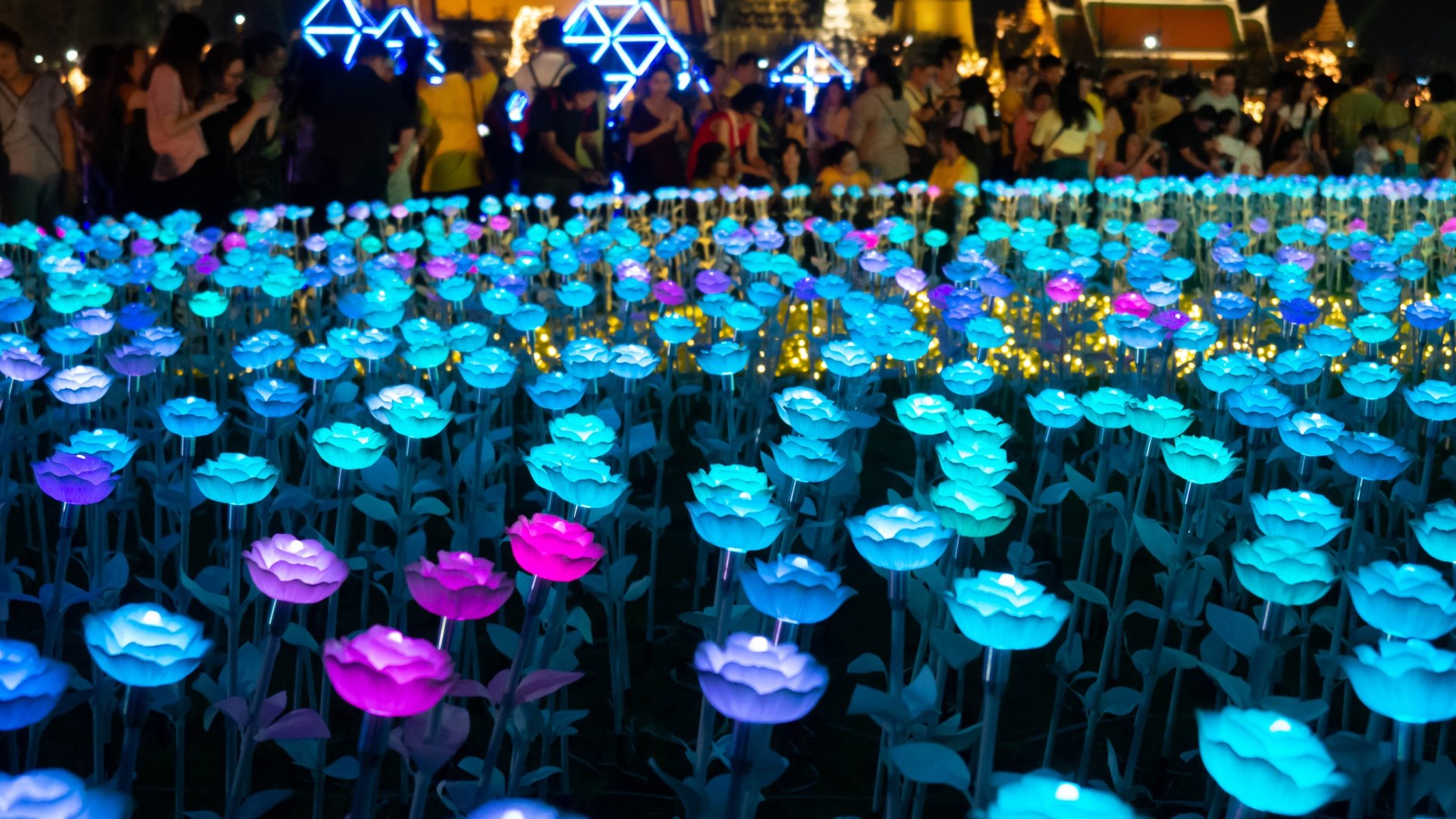 Sötétben világító virágok