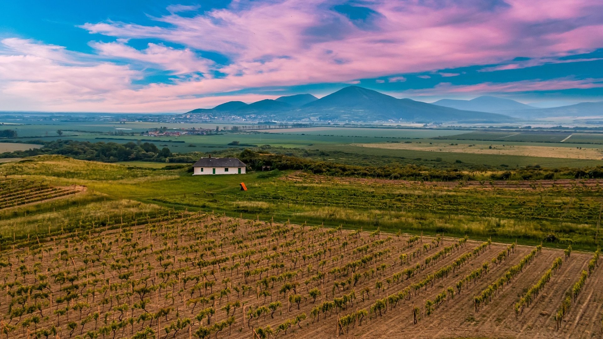 Tokaji borvidék bemutatása Tokaji borvidék bemutatása