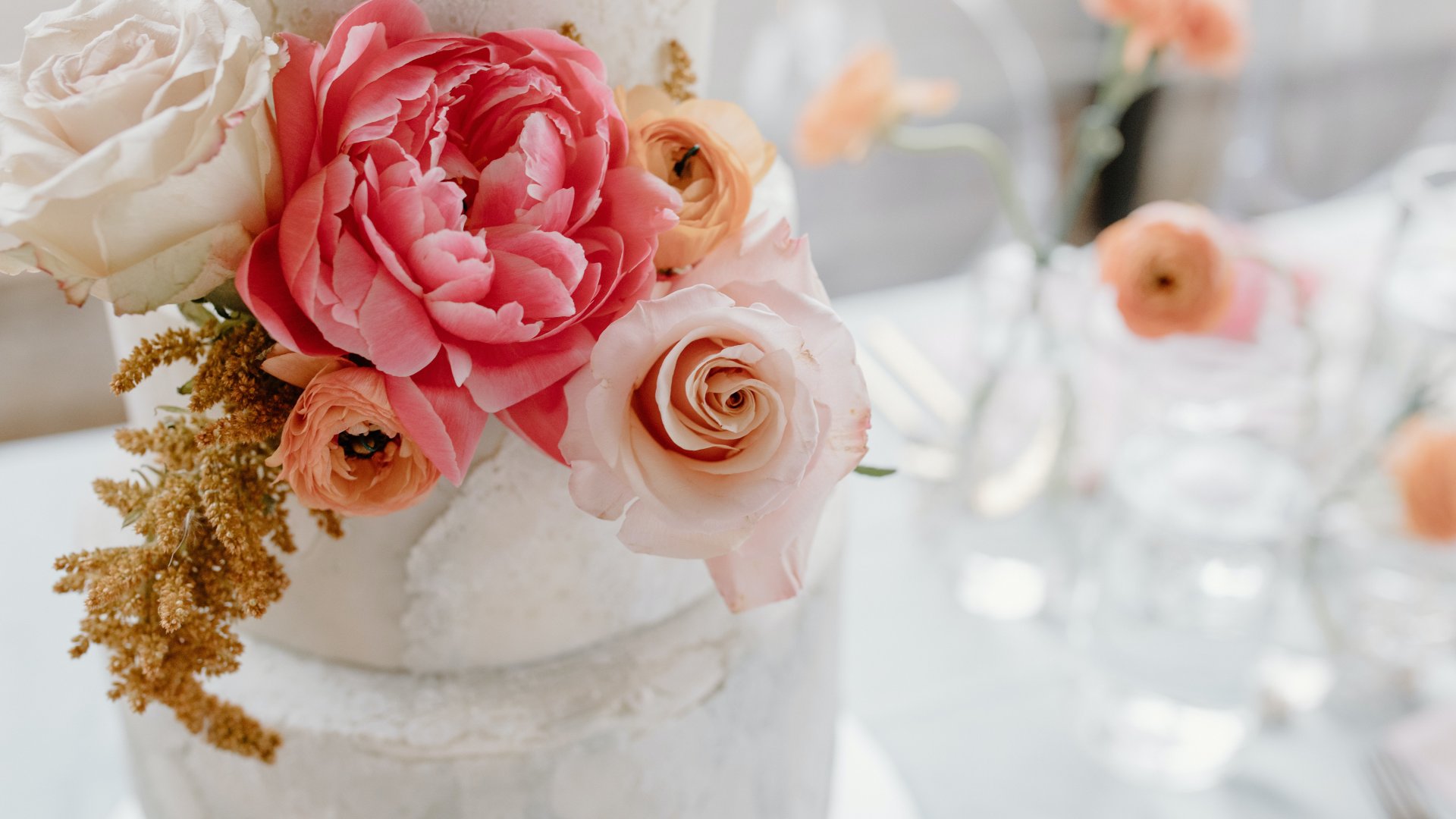 A begónia metszéséről