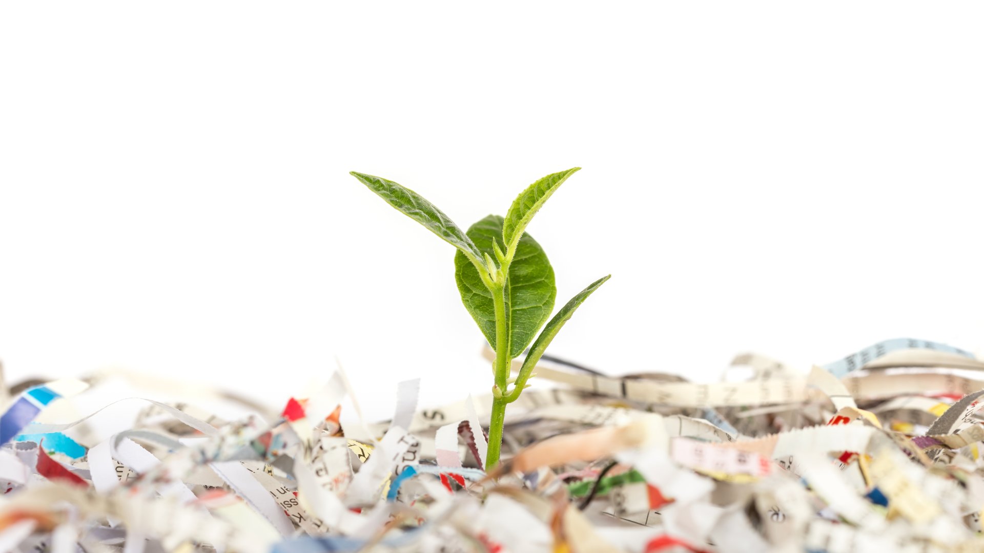 Használd fel te is az újságpapírt, megmutatom, hogyan