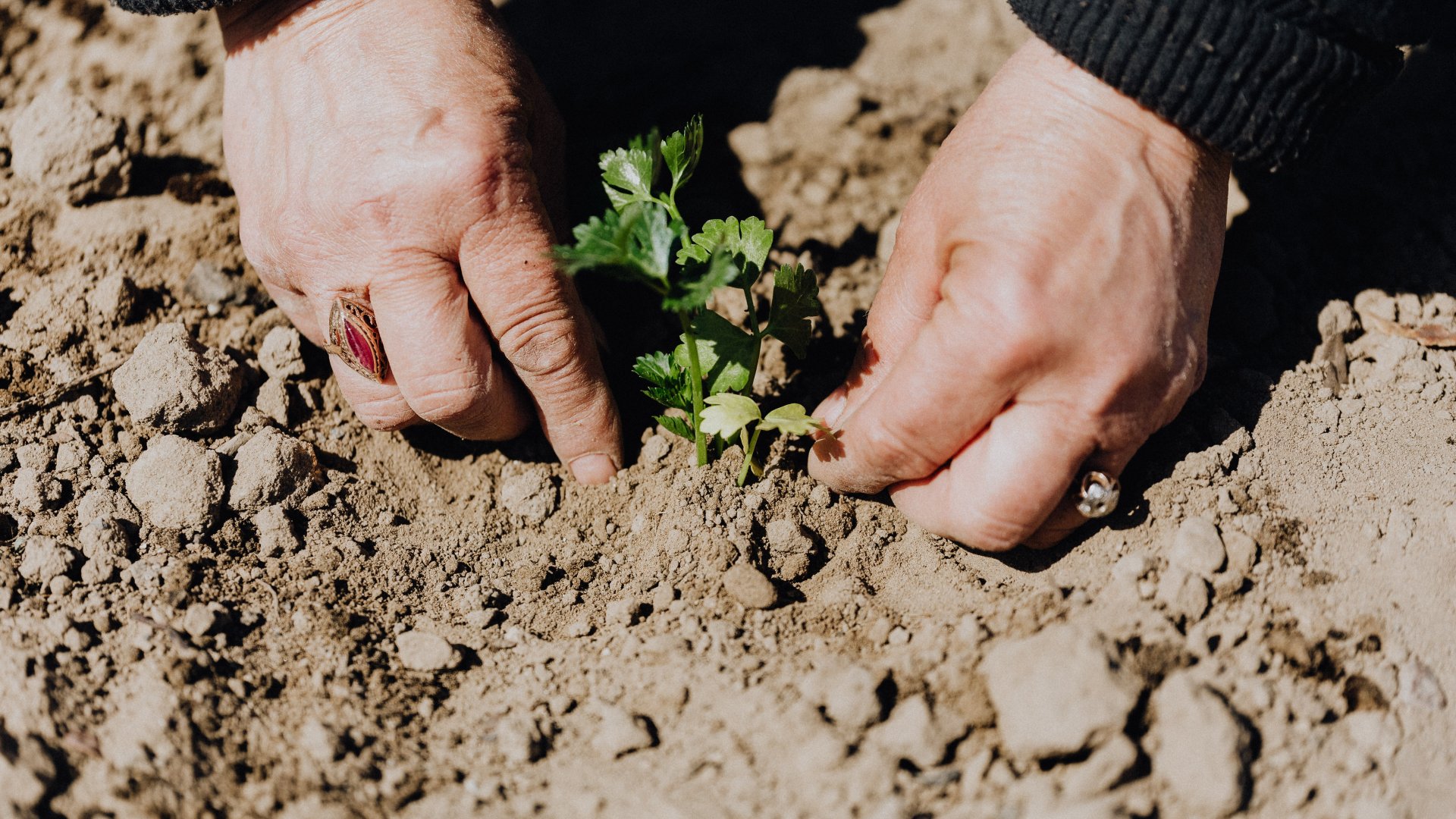 Építsünk fűszerspirált! 