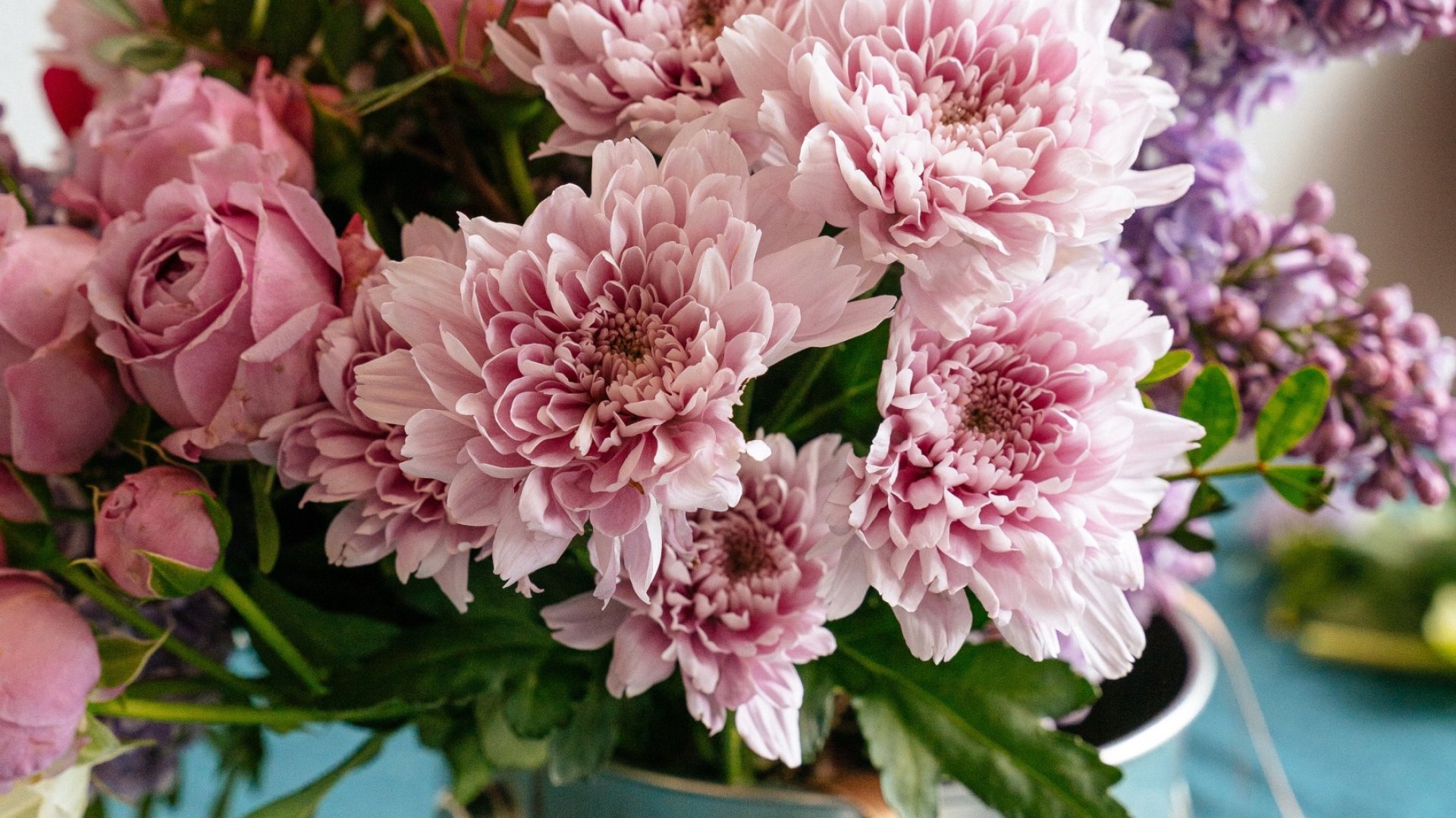 Ezek a szobanövények leggyakoribb betegségei