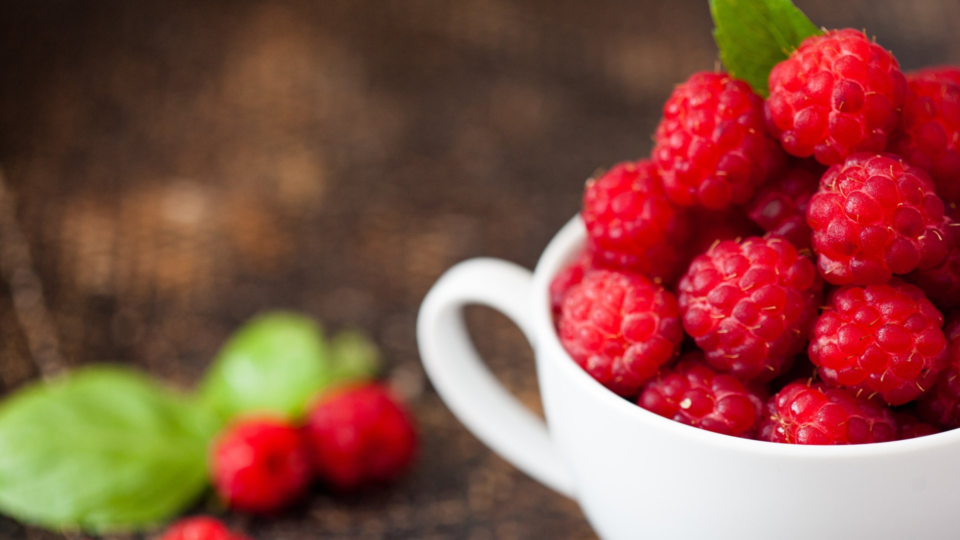 Hogyan védekezzünk a málna kártevői ellen