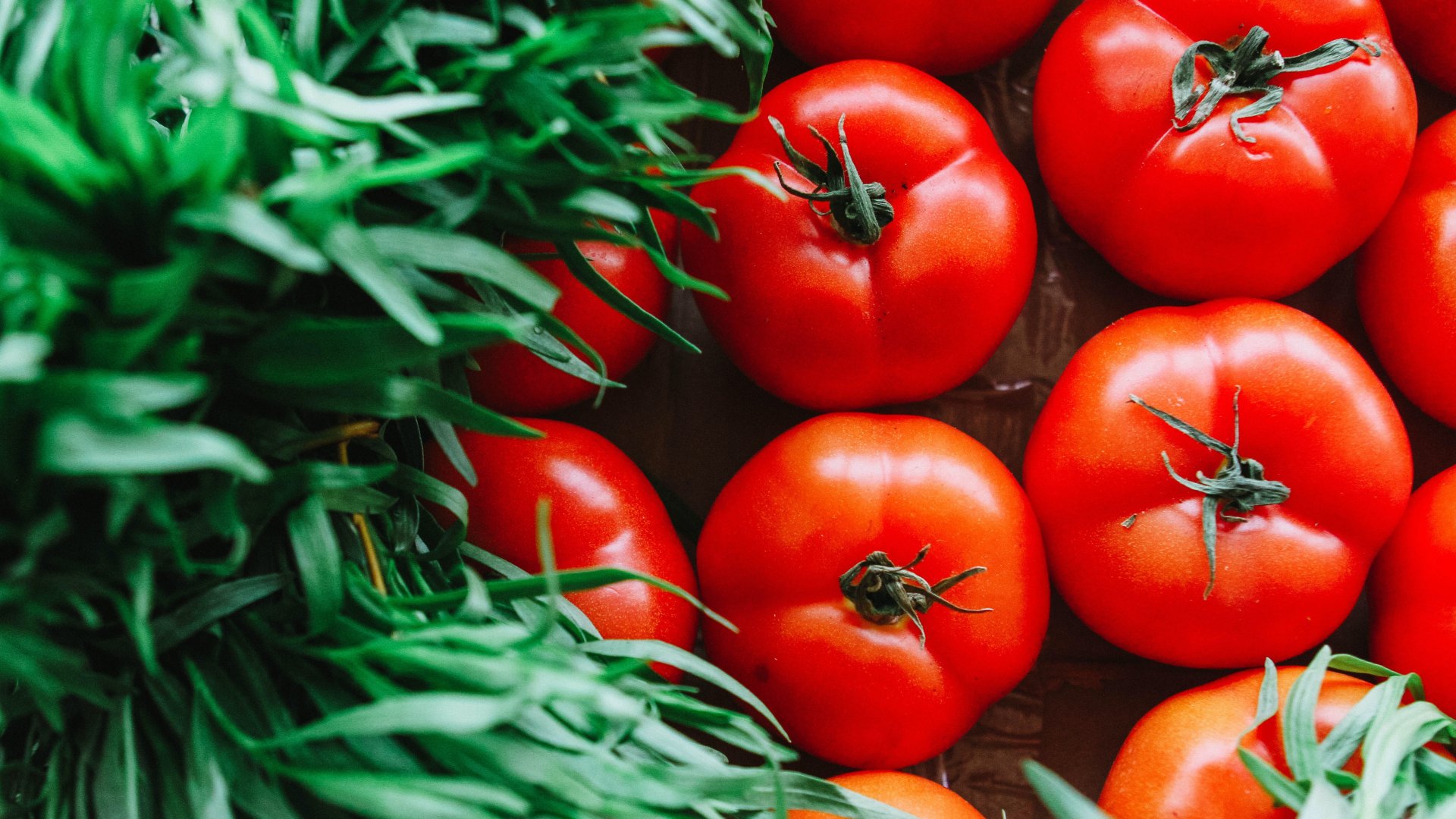 A friss paradicsom antioxidáns tulajdonságú vegyületeinek és hidroximetil-furfurol tartalmának értékelése A friss paradicsom antioxidáns tulajdonságú vegyületeinek és hidroximetil-furfurol tartalmának értékelése