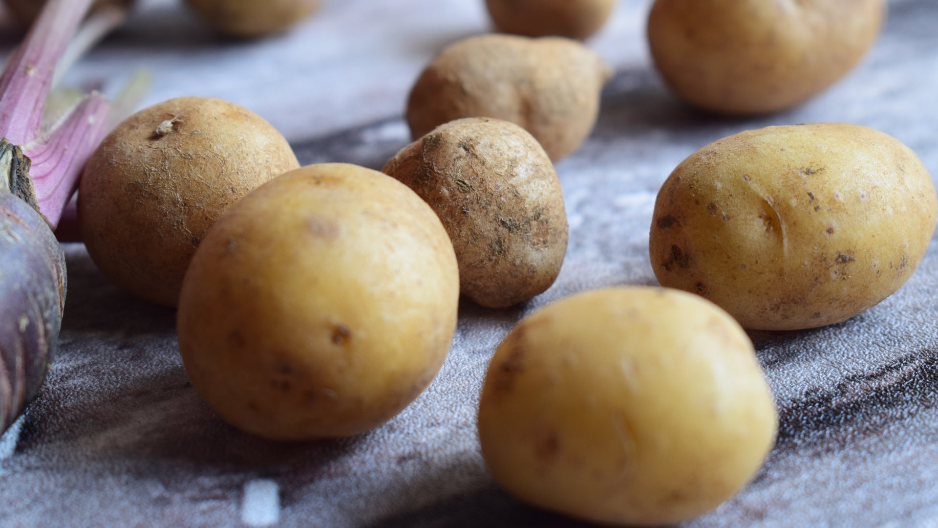 A burgonya vízellátása, az öntözés hatása a gumók minőségére