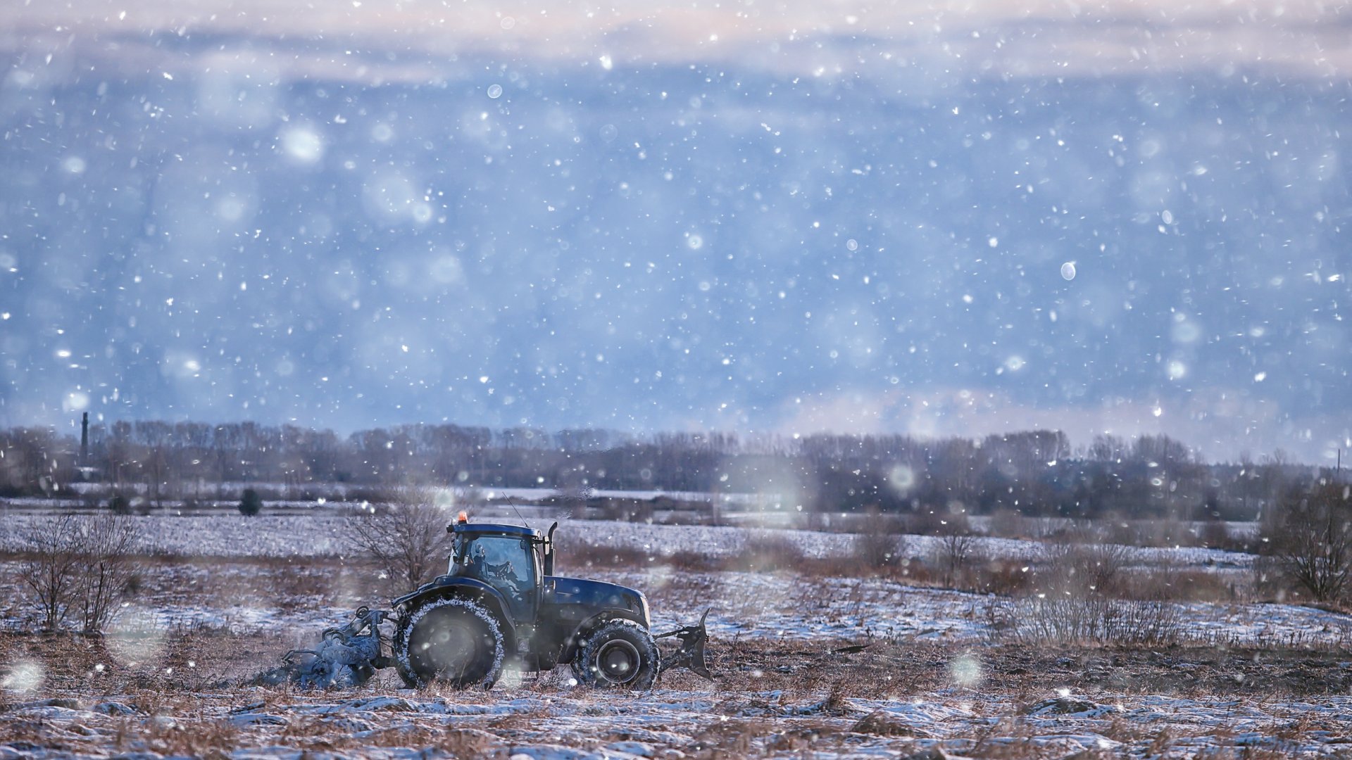 Így védjük növényeinket a hideg hónapokban