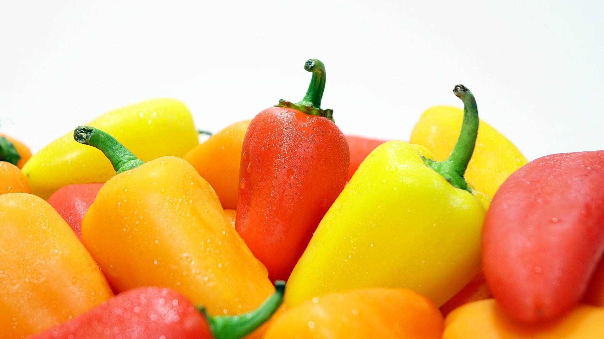 A szabadföldi paprika tápanyagellátása A szabadföldi paprika tápanyagellátása