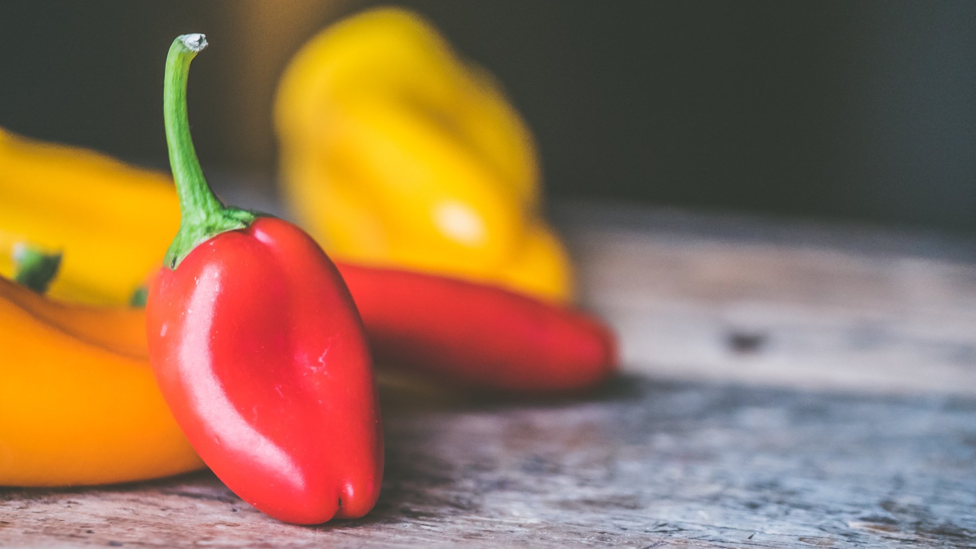 A paprika palántanevelése A paprika palántanevelése
