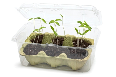 Így készíts mini beltéri üvegházat fillérekből, és nevelj növényeket télen!
