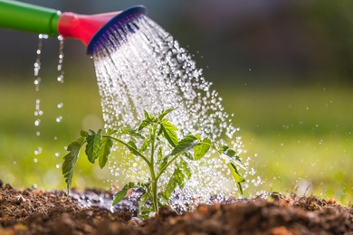 Ezekkel az egyszerű tippekkel megtudhatod, hogyan csökkentheted kerti vízszámládat