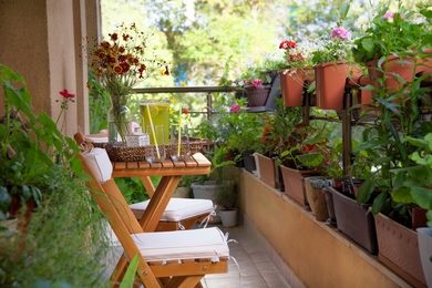 9 dolog, amit figyelembe kell venni az erkélyes kertészkedés során