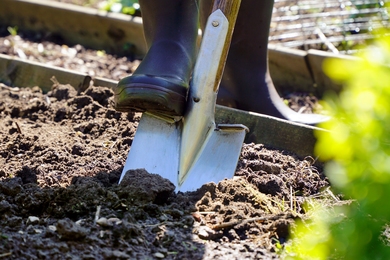 Egy kertész szerint így kell a talajt előkészíteni márciusban