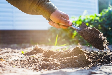 6 fontos tennivaló a tavaszi, kerti munkák megkezdéséhez