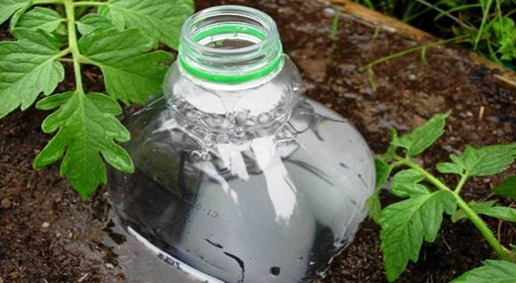 Ültess te is műanyag palackot a kertbe