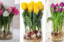 Tulipánhagyma ültetése vázában