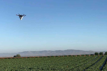 Csökkenthető lenne a növényvédő vegyszerek használata a drónok segítségével?