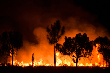Elképesztő károkat okoz az ausztrál pokol