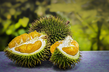 Ismerd meg a világ legbüdösebb gyümölcsét, a duriánt