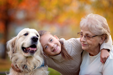 Tökéletes kutyafajták nagyszülők és unokák mellé