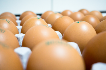 Mit jelentenek a számok a tojáson?