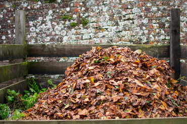 Hogyan lehetséges az őszi levelek komposztálása 