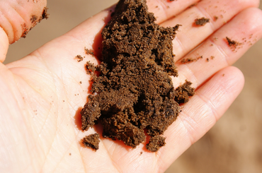  Homokos talaj feljavításának tükkjei