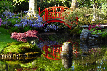 japán kertészek titkai 