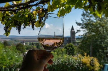  A legjobb magyar borok 2023-ban